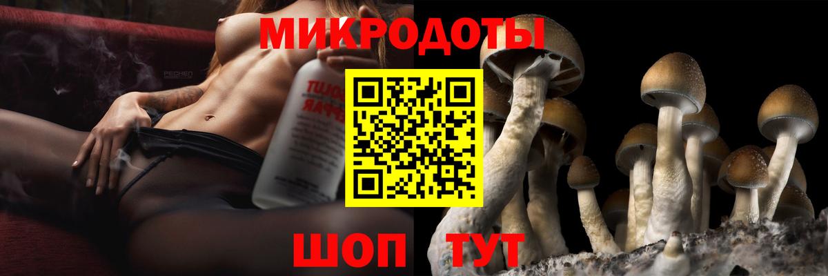Феодосия  Псилоцибиновые грибы мицелий  Вход с VPN  Псилоцибиновые грибы MAGIC MUSHROOMS 